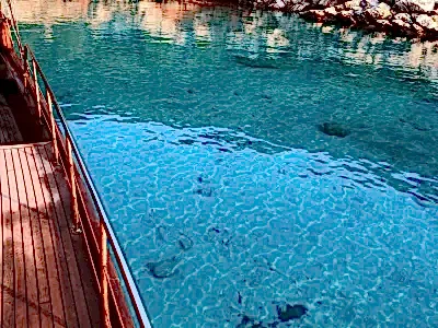Bodrum tekne turu Galeri