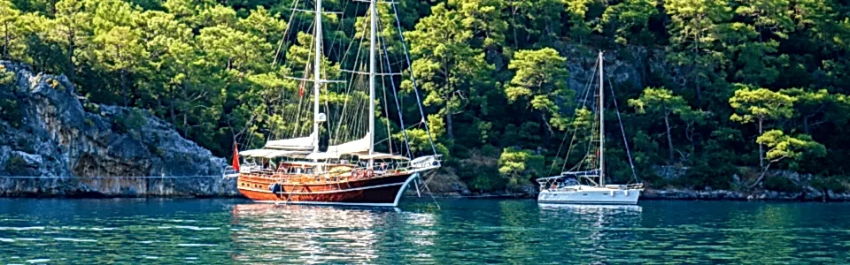 Büyüleyici ve Unutulmaz Anlara Ortak Olun